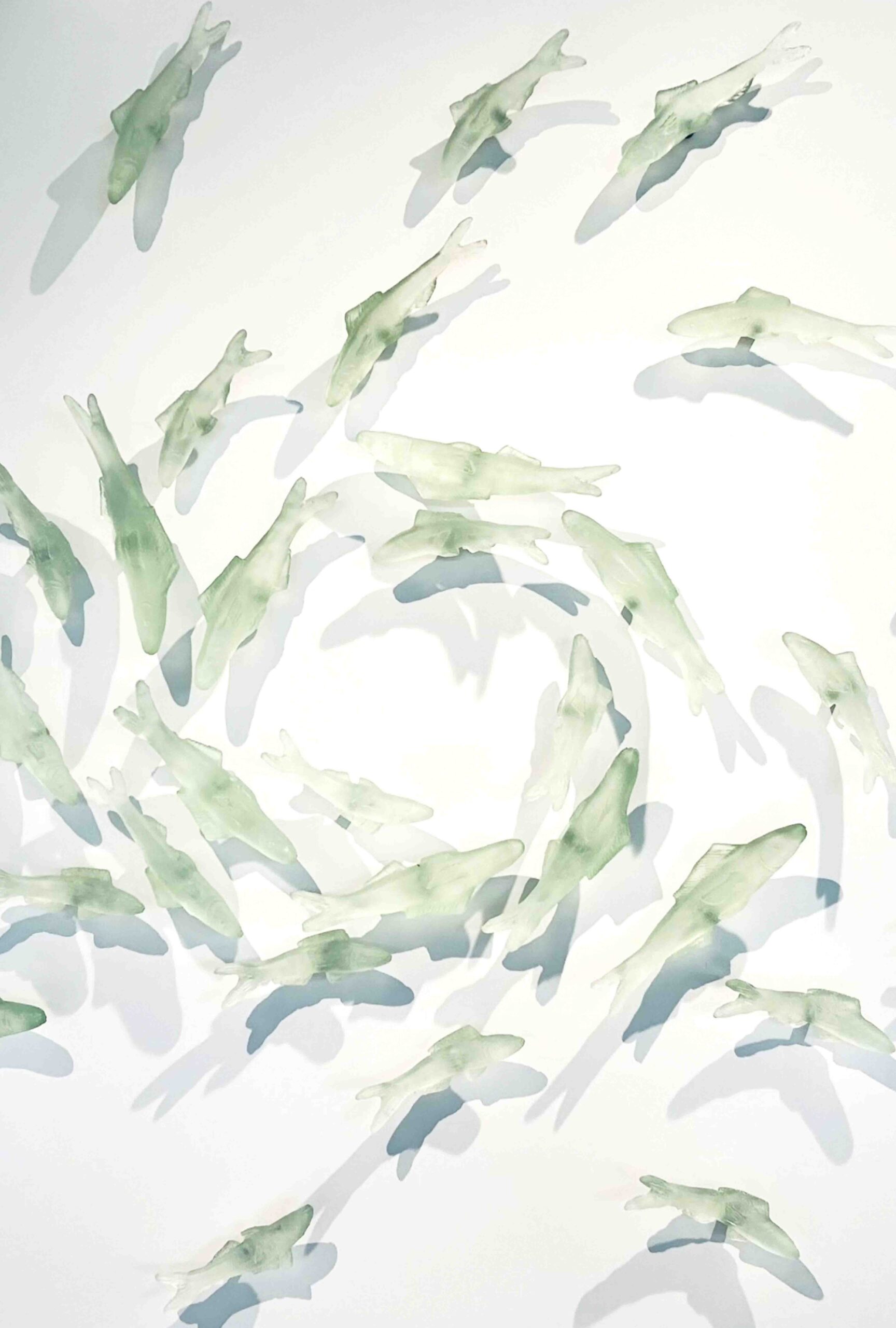 Ghost Fish-Sally Smith